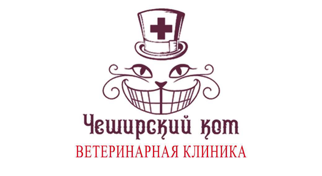 Чеширский кот ветеринарная клиника